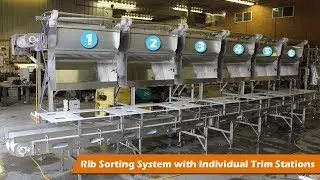 Rib Sorting System with Individual Trim Stations
