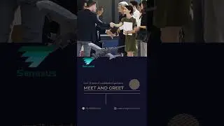 Meet and greet services by Senaxus Air