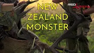 Kip Campbell Shoots New Zealand Red Stag!!