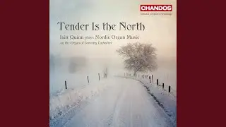 Variasjoner over Med Jesus vil eg fara, Op. 4: Variation IV. Con moto