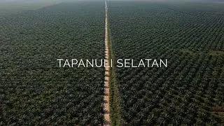 Kebun Tapanuli Selatan - PT Cisadane Sawit Raya Tbk.