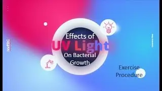 Effects of UV Light on Bacterial Growth