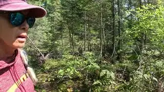 Miners Rock and Mosquito Falls