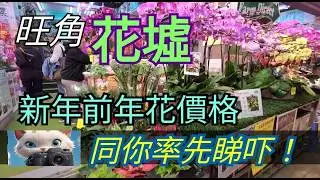 旺角花墟，新年前各種年花價格，同你率先睇吓！#街拍 [05022026]