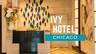 Ivy Boutique Hotel - Chicago - Downtown