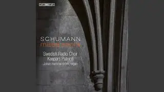 Missa sacra, Op. 147: V. Sanctus
