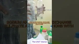 Class 10 Chemistry: Sodium Sulfate + Barium Chloride Reaction | White Precipitate Formation&nbsp;#shorts