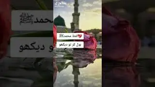 Muhammad mujeeb