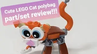 LEGO 2020 POLYBAG PARTS/SET REVIEW! Cat! Lego Set #30574