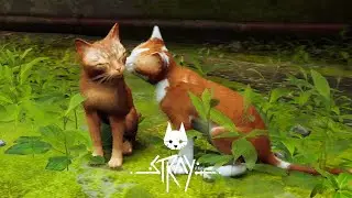 The most wholesome family | Let&rsquo;s Play Stray Part 1
