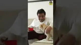 Meet my Best Buddy! #rajpalyadav #celebritypets #pets #dog