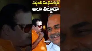 ఎన్టీఆర్ ను వైస్సార్ తిట్టమంటే | YSR reaction on NTR in politics | Cine Megham