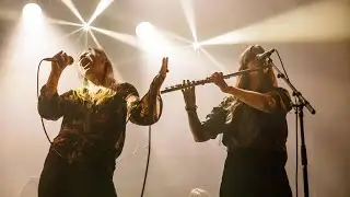Siena Root - The release of 