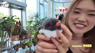 Tour Shanghai's Greenhouse Garden with NYU Shanghai Students! | Bilingual Vlog