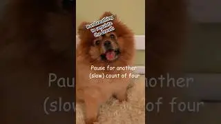 Box breathing technique😊 to regulate the breath #shorts (Square breathing🟦)