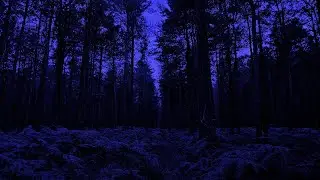 dexndre x CODE:W  - go_like [remix] (solitude velocity)