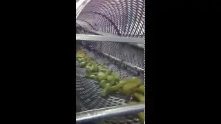 ZEN-MAK FOOD MACHINERY/RED PEPPER AND EGGPLANT PEELİNG AND WASHING MACHINE