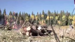 MSC outdoor survival class 2009