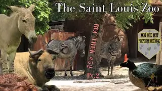 The OLDEST Buildings In The Zoo | The St Louis Zoo | BEC TREK Episode 52 (Pt 2)