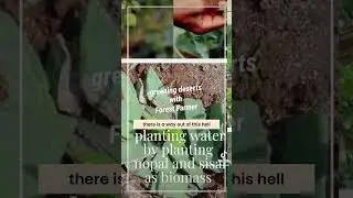 planting water in the desert by planting nopal and sisal