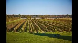 Connecticut Wine Trail