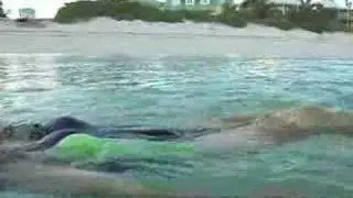 Shoreline Grand Bahama Real Estate