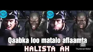 Qaabka Loo matalo filimaanta Halista ah/series ta ah.. || wax ka ogow || zuhaip a.rahman ||