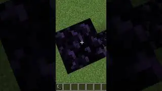 Wir testen virale Minecraft Mythen!😱#shorts  #minecraft  #viral