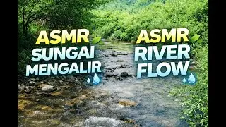 asmr sungai jernih mengalir | suara alam penenang pikiran 🌿💧asmr river flow |