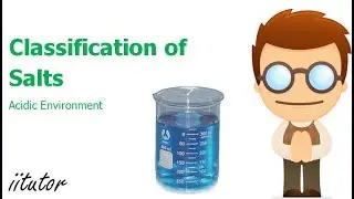 &radic; The Classification of Salts Explained in Detail with Fair Examples