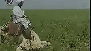 جبارة ابراهيم علي