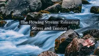 Whispered Oasis TV - The Flowing Stream: Releasing Stress and Tension 2025