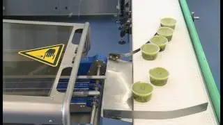 SEALPAC A6 for guacamole Frutas Montosa, Spain