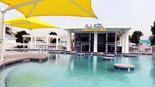 Carowinds announces opening date for new swim-up bar