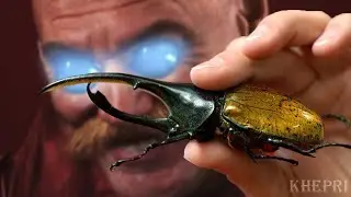 Khepri FULL DAMAGE Mains In a Nutshell - Smite (Khepri.exe)