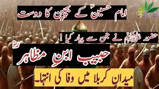 Habib Ibne Mazahir Friends of Hussain |حبیب ابنِ مظاہر کی امام حسین سے دوستی 