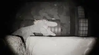 Unknown Tapes
