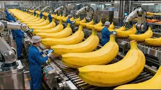 How Banana Juice Is Made in Modern Factories | Industrial Fruit Juice Processing (No Talking)
