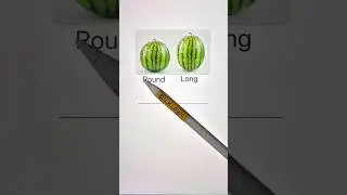 How to find sweet watermelon?/Trick is here /#shorts #trending