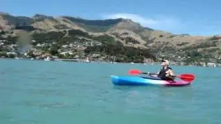 Kayaking Akaroa Guided Safari www.akaroakayaks.co.nz