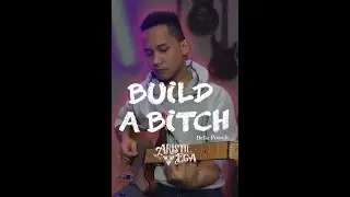 BUILD a BITCH GUITAR COVER  | Aristo Ega