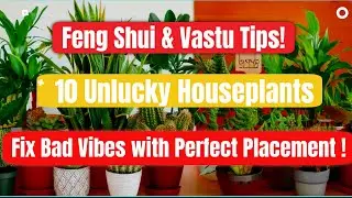 Unlucky Houseplants  (Fix Their Bad Vibes with Perfect Placement (Feng Shui & Vastu Tips!)