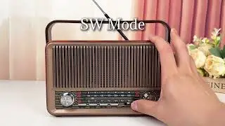PRUNUS J-120 AM/FM Retro Radio,Bluetooth Speaker,Rechargeable/Plug-in, AUX/TF/USB,Portable & Vintage