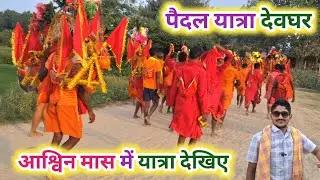 आश्विन मास में हो रहा है सावन जैसा कावड़ यात्रा || Sultanganj to Deoghar Paidal Kawad Yatra Update
