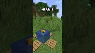 Pufferfish Difference in Minecraft Java Edition vs Bedrock