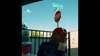 CottonCandy Money 