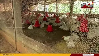'രാത്രി ചില ശബ്ദങ്ങൾ കേട്ടിരുന്നു, ഭയം മൂലം ഇറങ്ങിയില്ല' വാകേരിയിൽ കടുവ എത്തിയോ?| Wayanad |Tiger