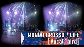 MONDO GROSSO / LIFE［Vocal：bird］(VR180 experience) at FUJI ROCK FESTIVAL '17