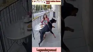 Unbelievable Brave Dog Rescue Goes Viral | Dog&rsquo;s Quick Action #DogRescue #HeroDog #incredible #reels