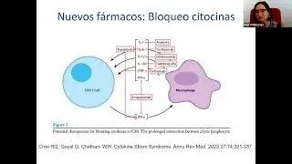 18/5/23 LinfoHistiocitosis Hemofagocítica (HLH). Reunión Grupo Estudios Latino Americano de Histio.